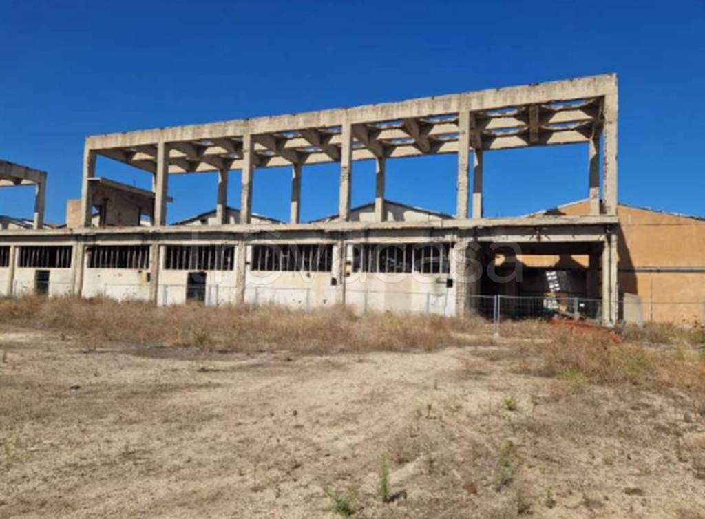 immagine annuncio 9 di 11