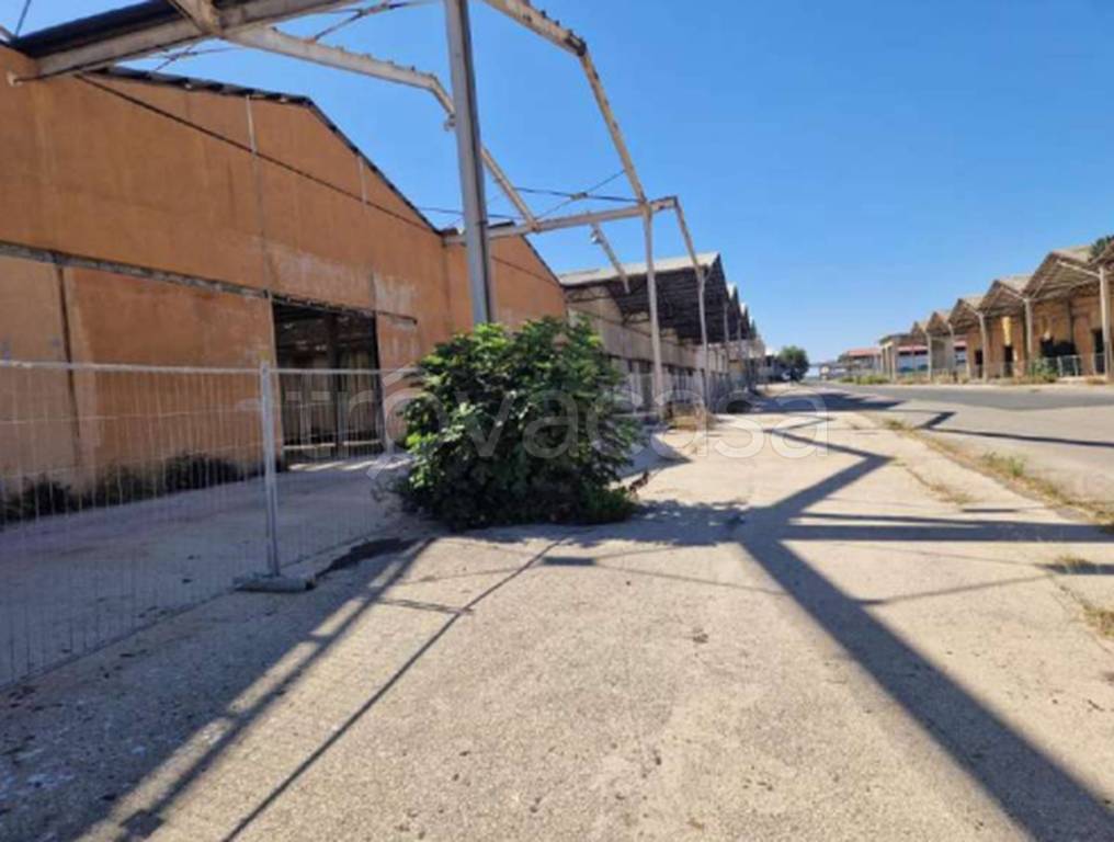 immagine annuncio 10 di 11