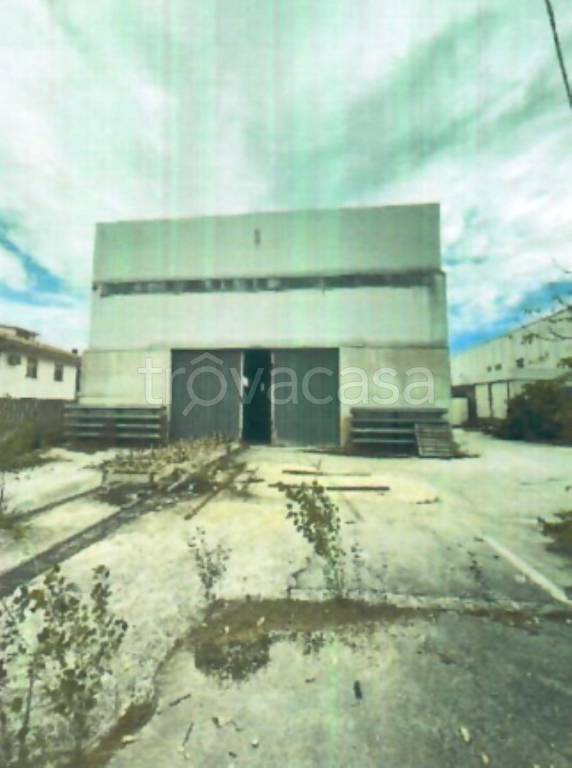 immagine annuncio 5 di 11