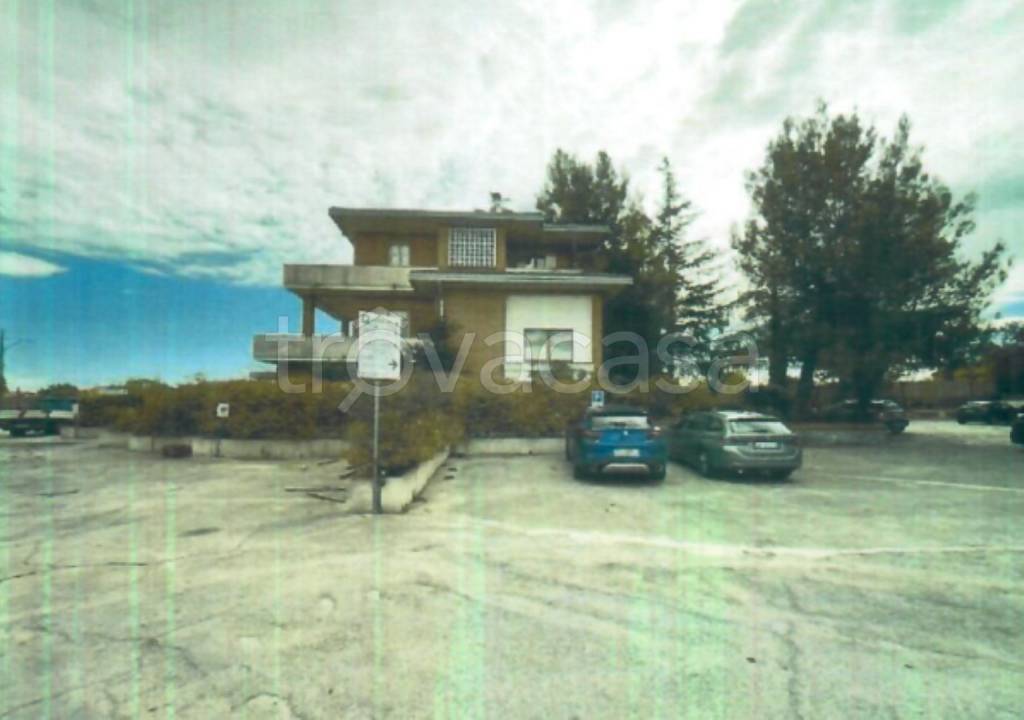 immagine annuncio 9 di 11