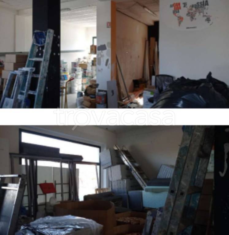 immagine annuncio 10 di 11