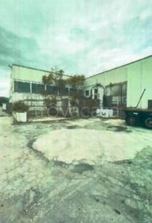 immagine annuncio 2 di 13