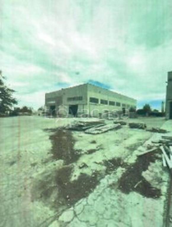 immagine annuncio 8 di 13