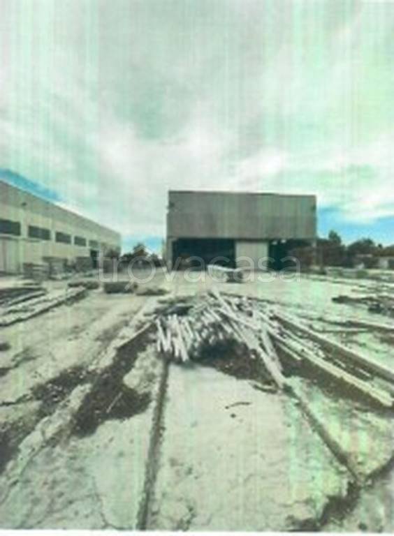 immagine annuncio 9 di 13