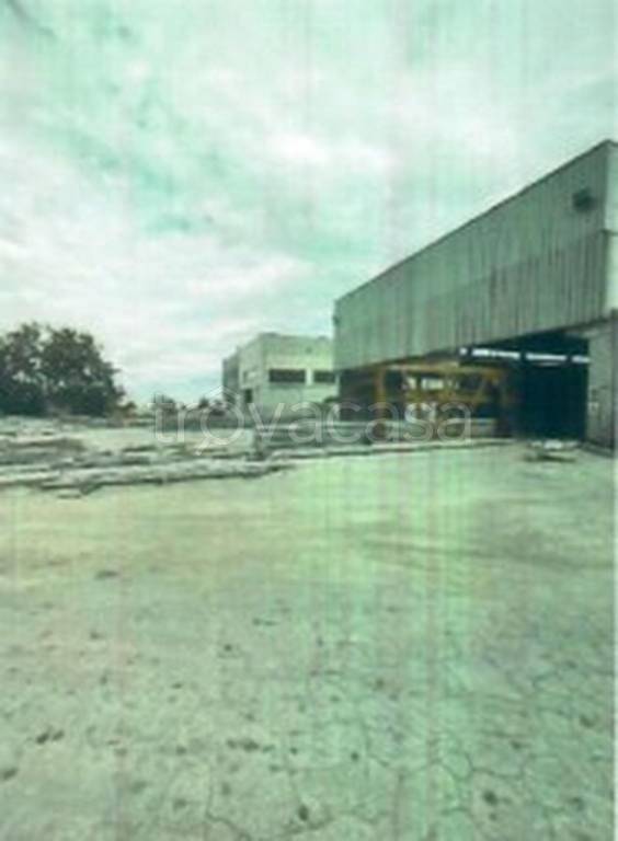 immagine annuncio 11 di 13