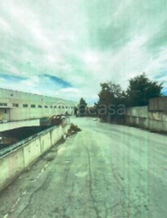 immagine annuncio 12 di 13