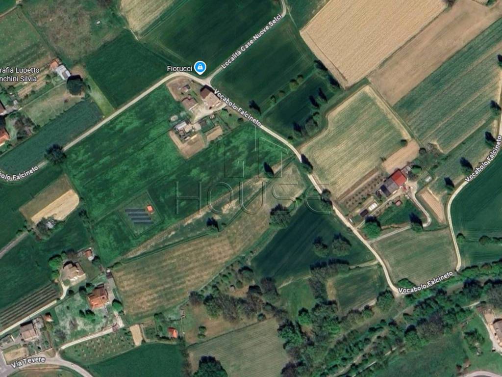 immagine annuncio 4 di 6