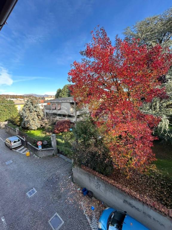 immagine annuncio 7 di 14