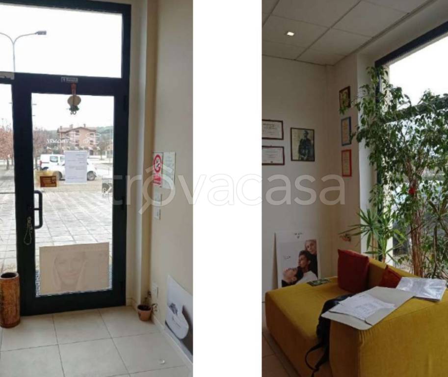 immagine annuncio 7 di 13