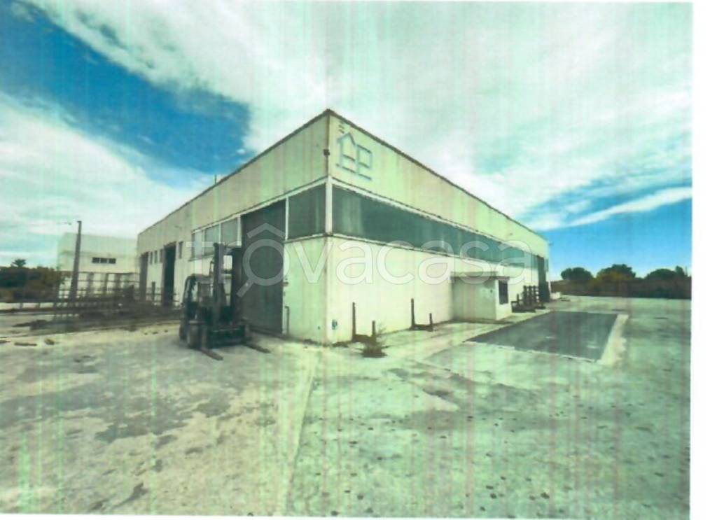 immagine annuncio 4 di 11