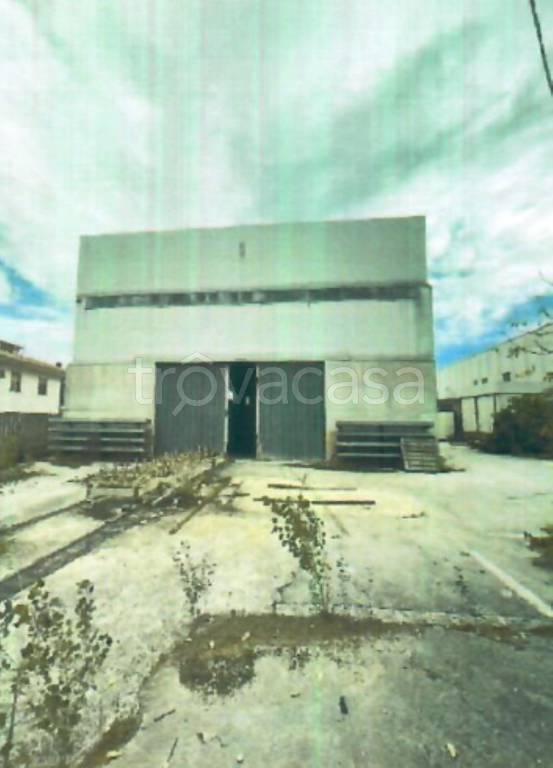 immagine annuncio 5 di 11