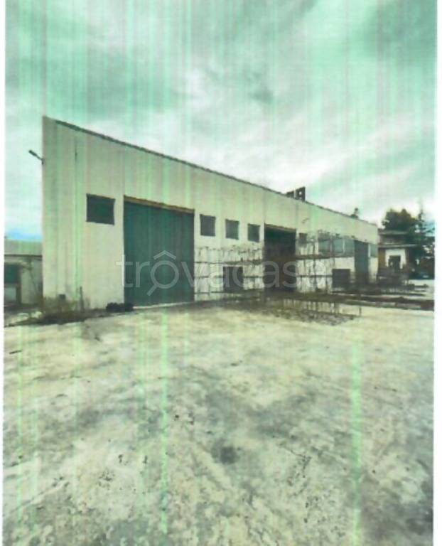 immagine annuncio 6 di 11