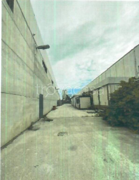 immagine annuncio 8 di 11