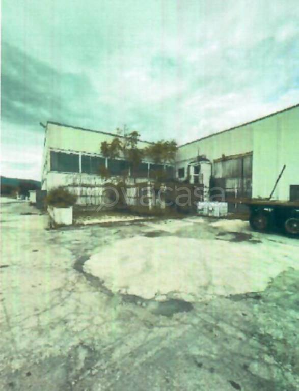 immagine annuncio 9 di 11