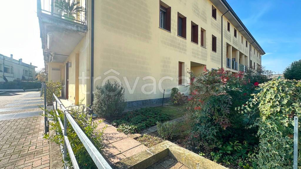 immagine annuncio 9 di 14