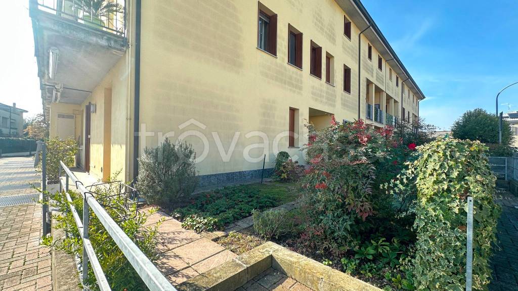 immagine annuncio 10 di 14