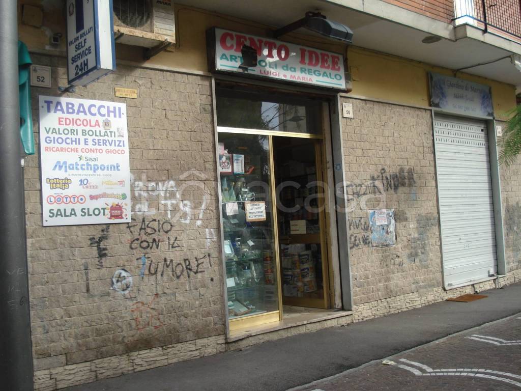 immagine annuncio 1 di 11