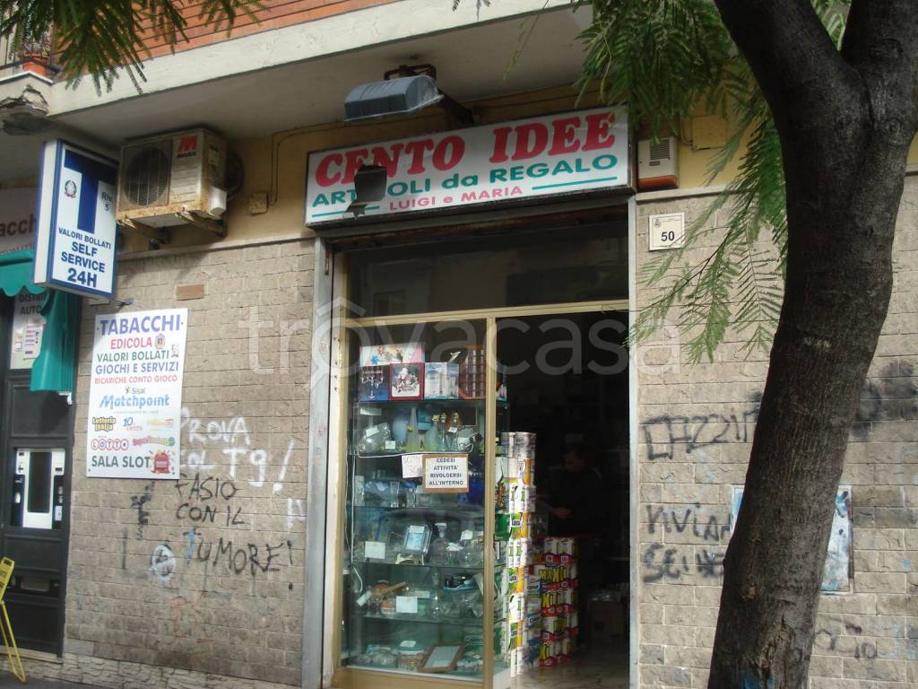 immagine annuncio 4 di 11