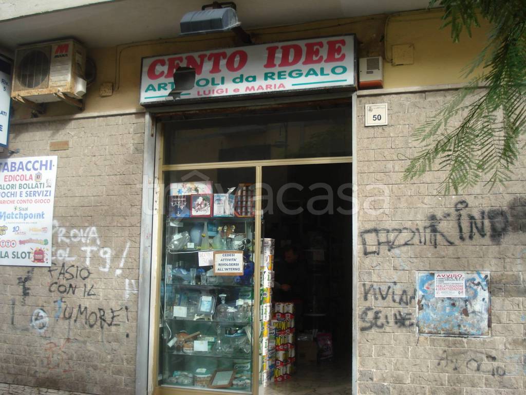 immagine annuncio 5 di 11