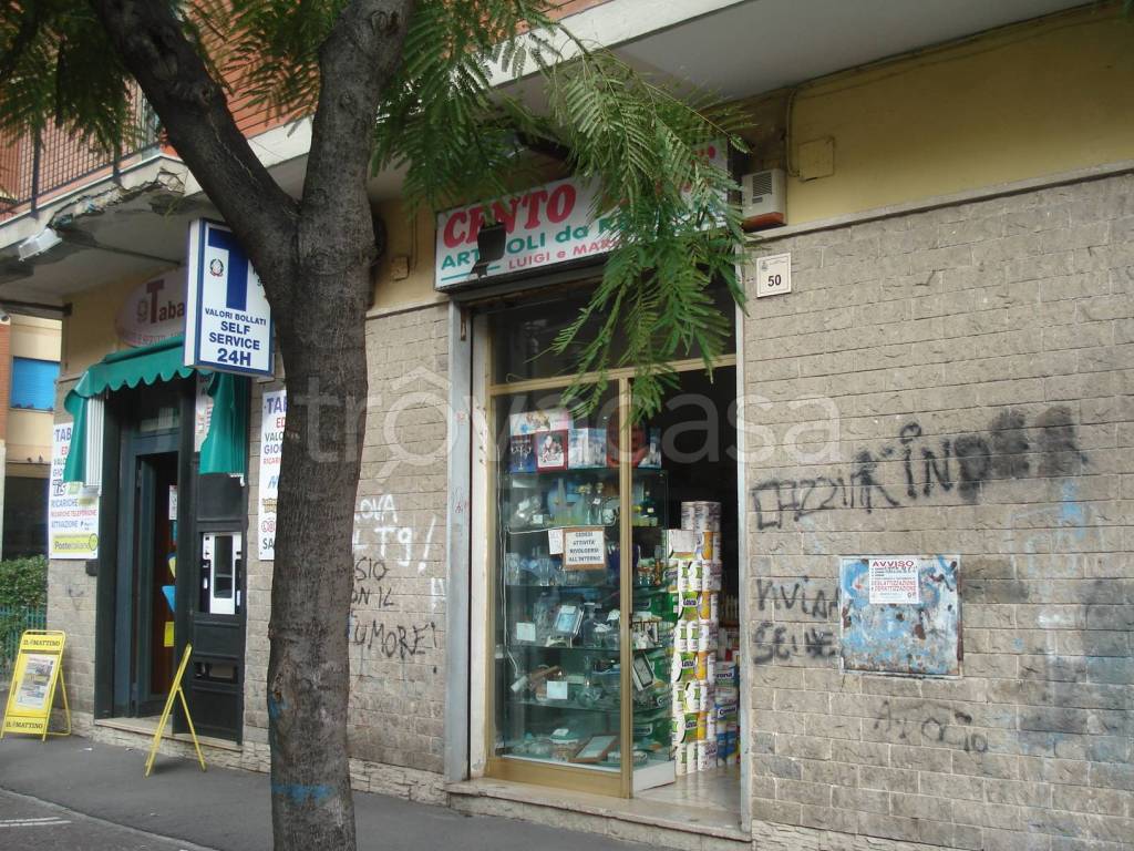 immagine annuncio 8 di 11