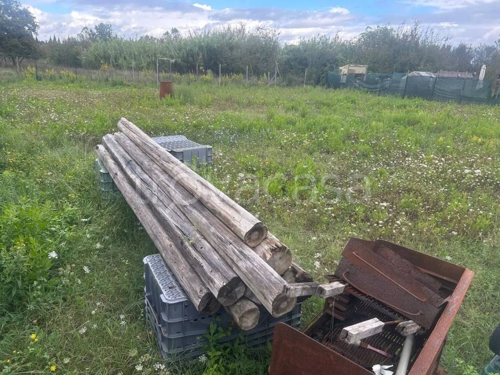 immagine annuncio 1 di 2