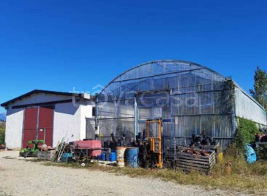 immagine annuncio 7 di 13