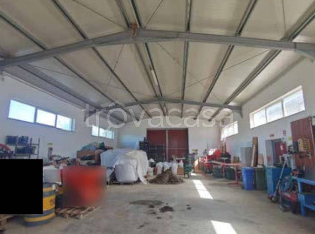 immagine annuncio 8 di 13