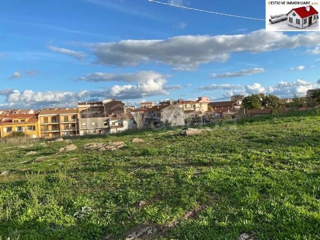 immagine annuncio 3 di 11