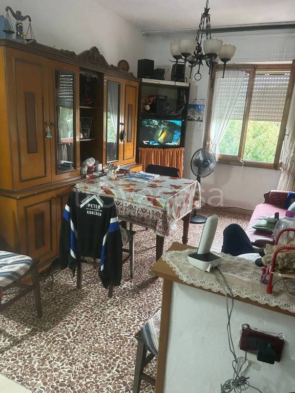 immagine annuncio 1 di 8