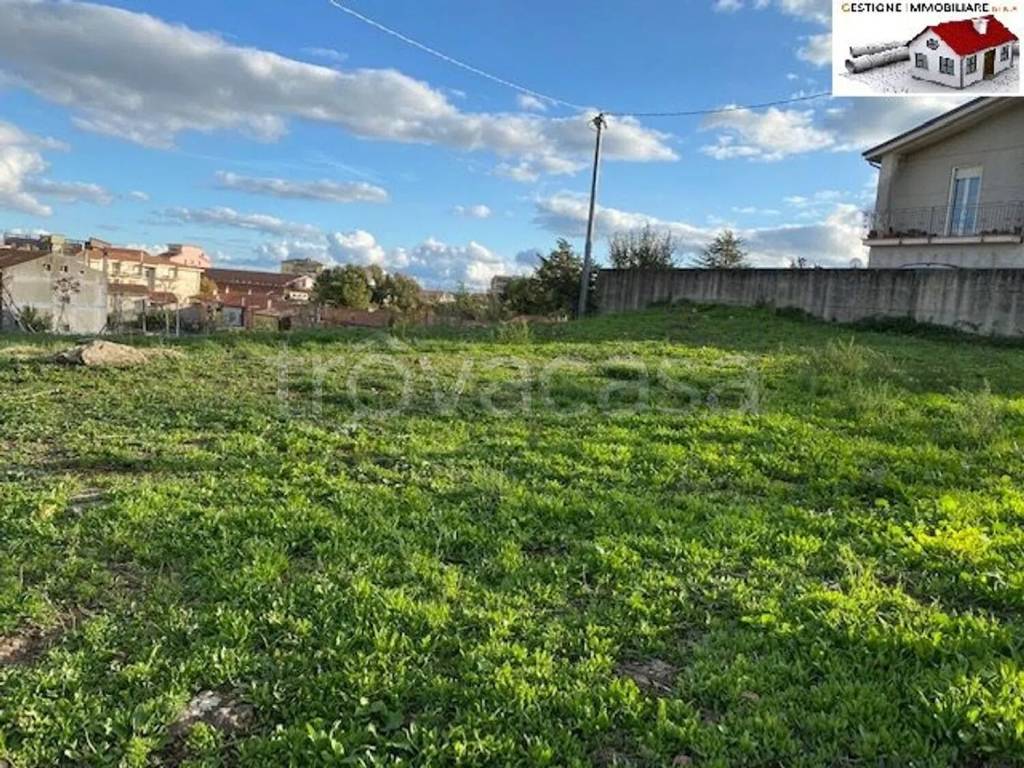 immagine annuncio 4 di 11