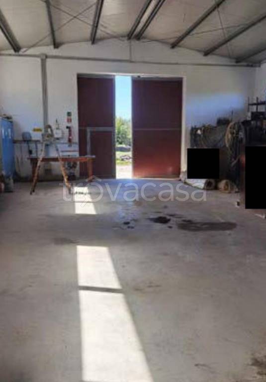 immagine annuncio 9 di 13