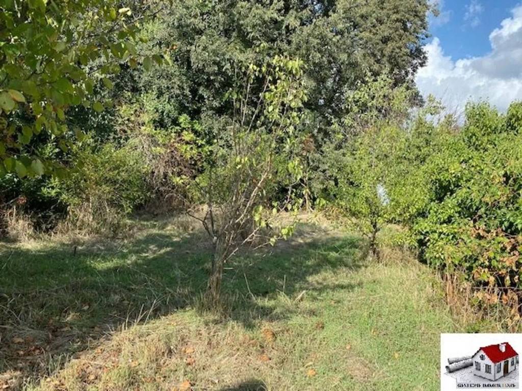 immagine annuncio 7 di 14