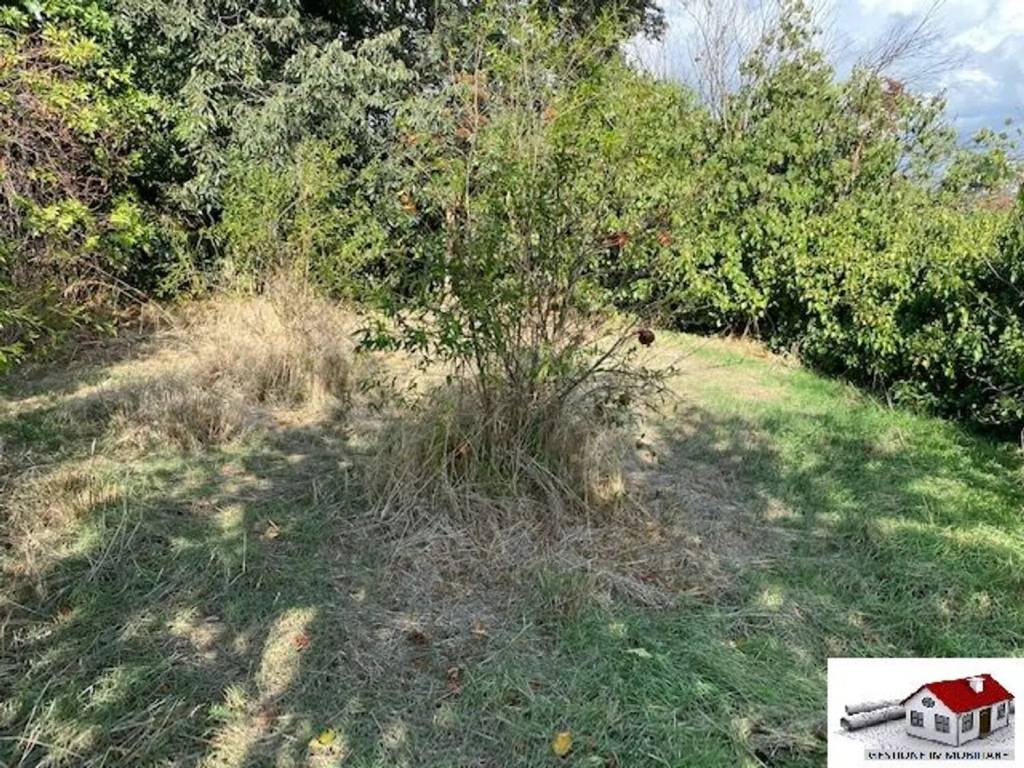 immagine annuncio 8 di 14