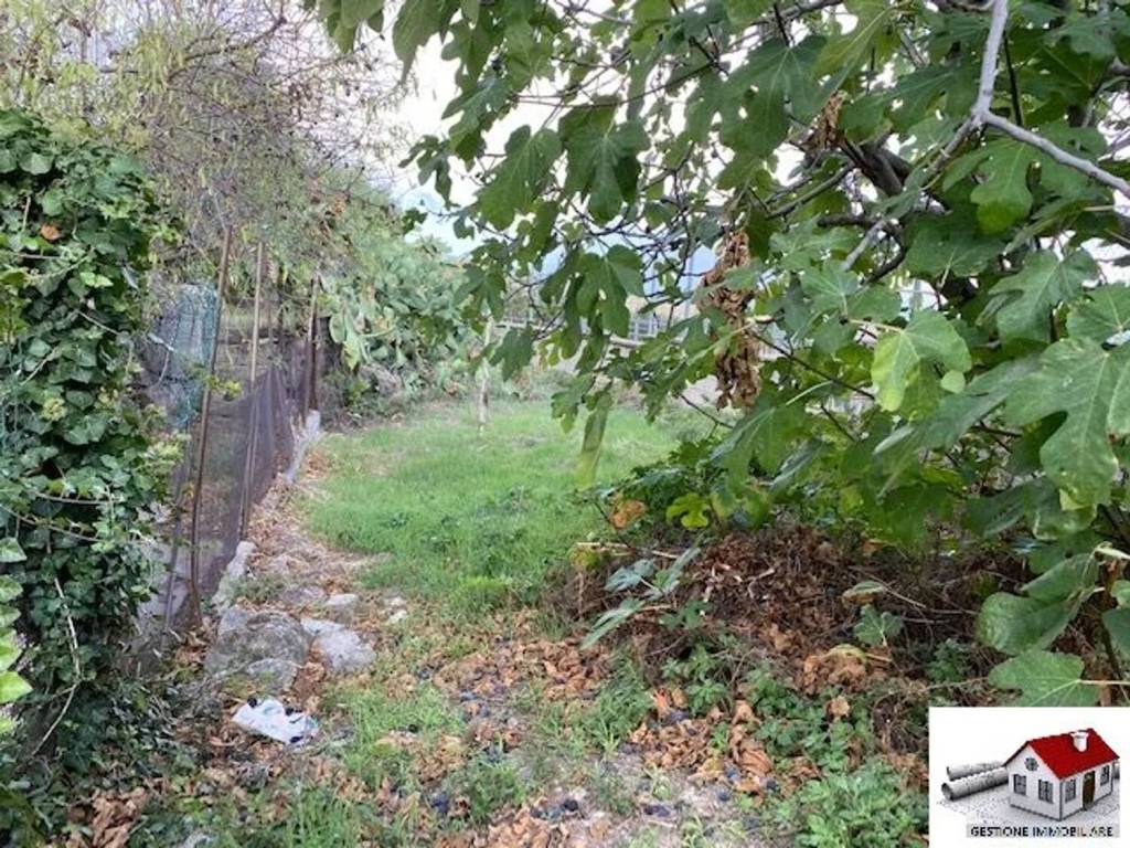 immagine annuncio 11 di 14