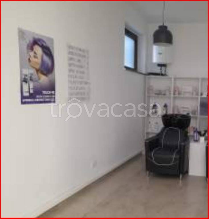 immagine annuncio 5 di 12