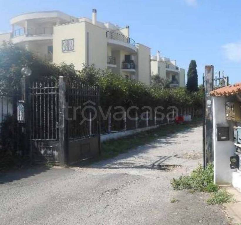 immagine annuncio 4 di 12