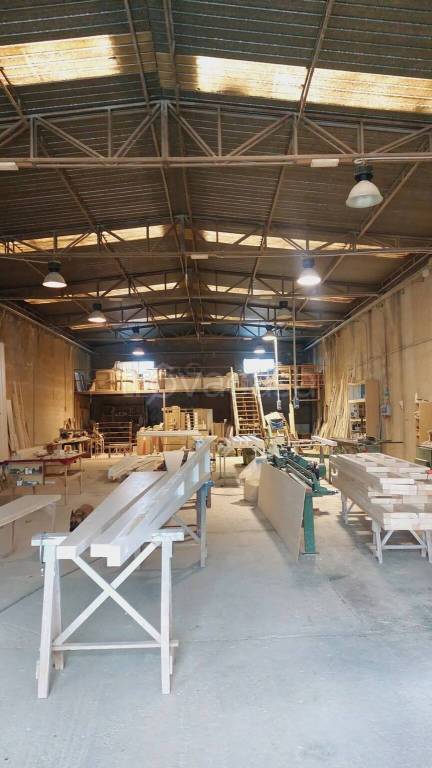 immagine annuncio 4 di 13