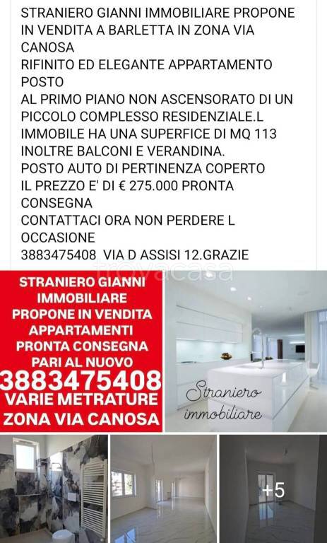 immagine annuncio 9 di 11