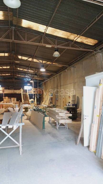 immagine annuncio 12 di 13