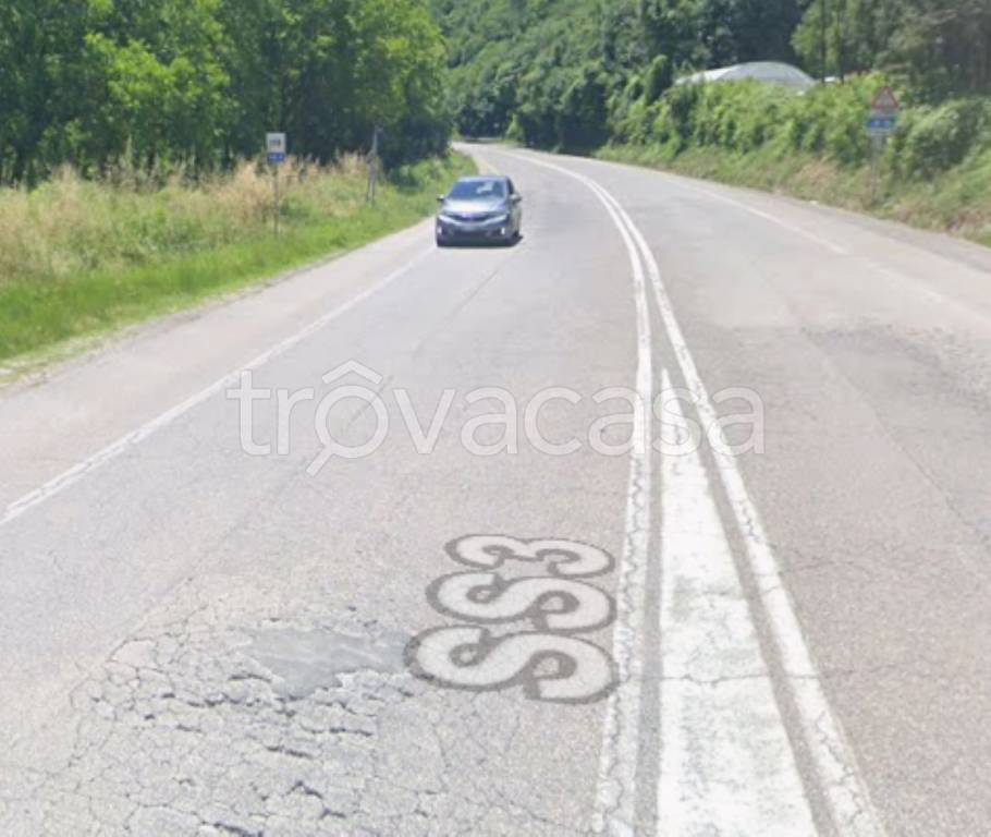 immagine annuncio 9 di 12