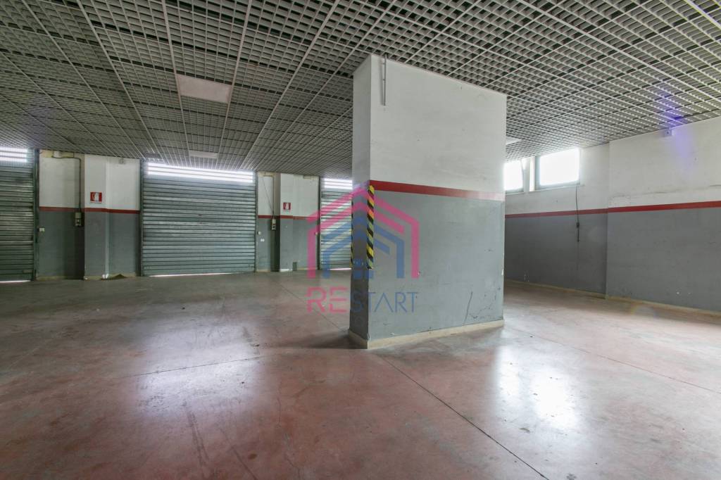 immagine annuncio 12 di 15