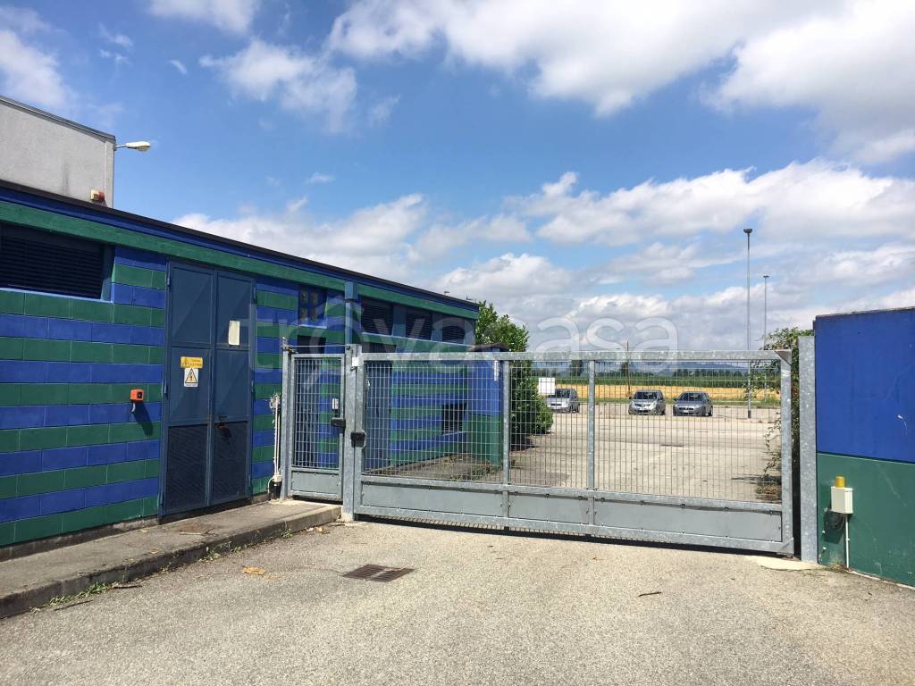 immagine annuncio 9 di 15