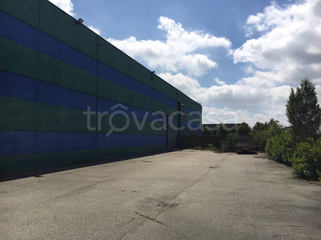 immagine annuncio 7 di 15