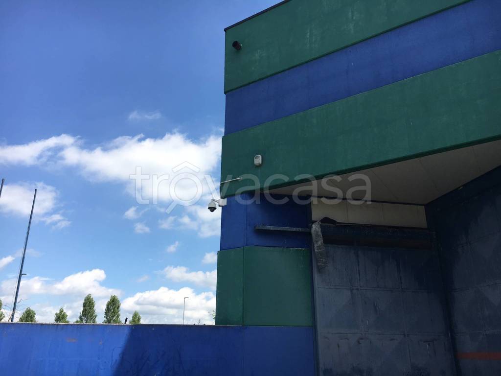 immagine annuncio 11 di 15