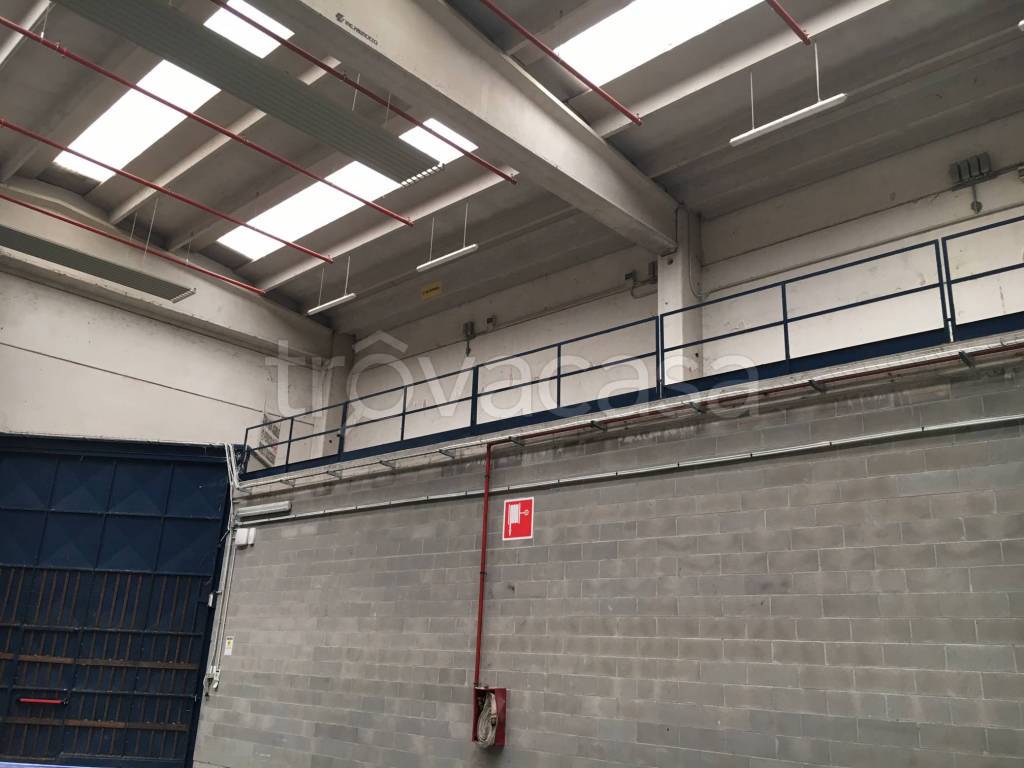 immagine annuncio 13 di 15