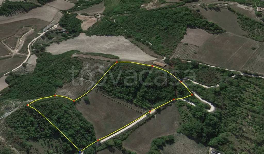 immagine annuncio 1 di 8