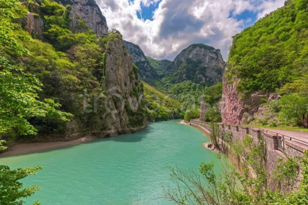 immagine annuncio 4 di 8