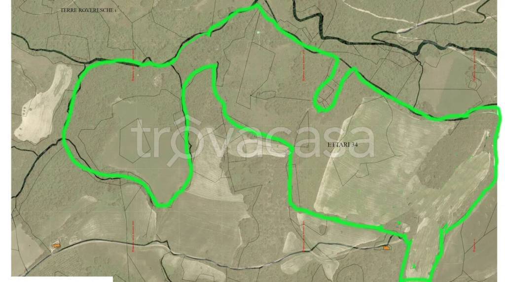 immagine annuncio 8 di 9