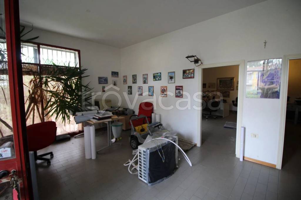 immagine annuncio 3 di 6