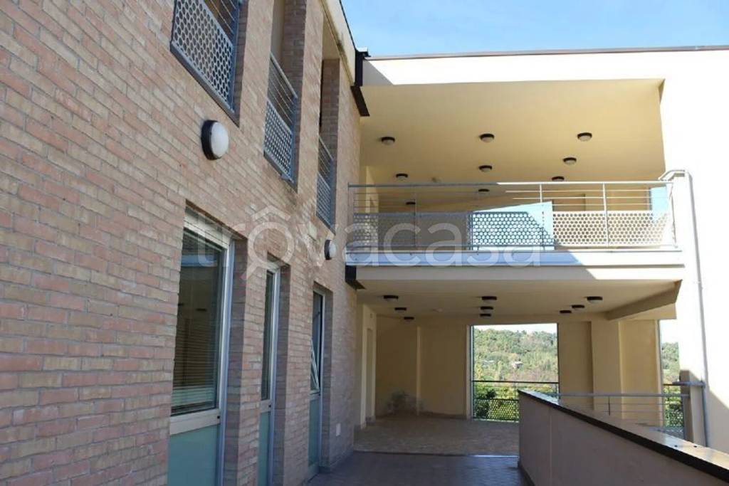 immagine annuncio 7 di 13